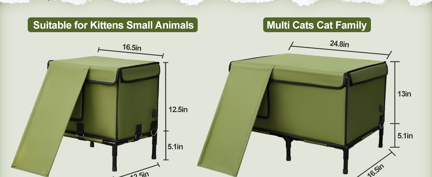 Cat House