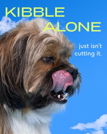 healthy dog