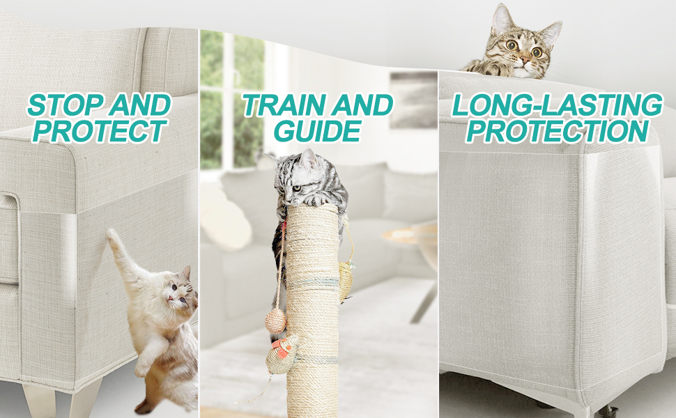 help cat family train cats stop to scratch furniture
