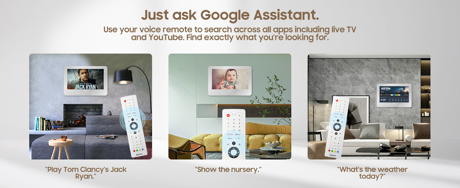 Voice control remote Google assistance