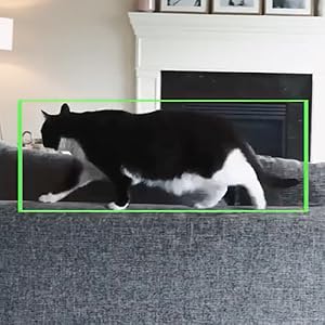  Motion & Sound Detection 