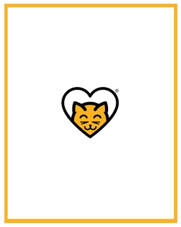 Hide & scratch cat scratchers for indoor cats