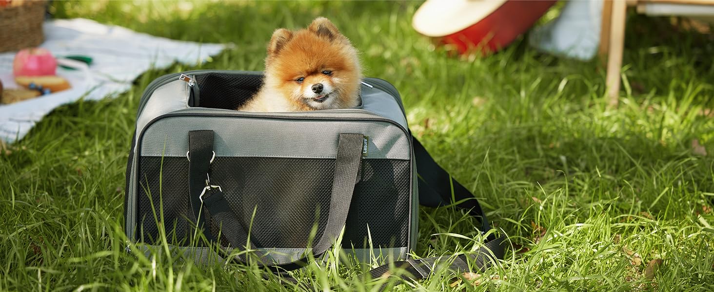 cat carrier