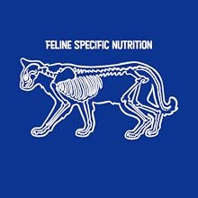 Feline X-ray