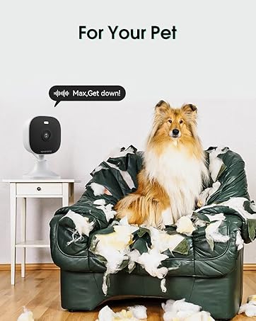8311-brand-for pet