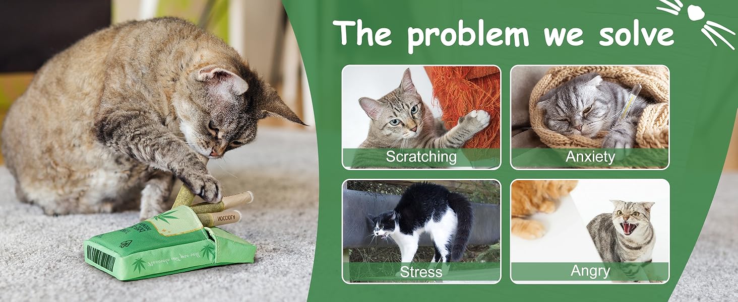 cat toys for indoor cats kitten toys for indoor kittens cat nip for catscat teething toys