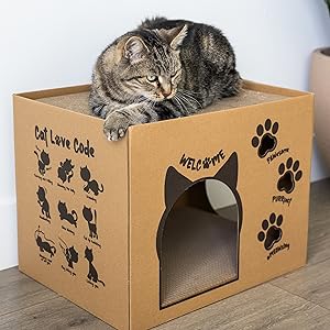 CHIC BY CHICO cardboard cat house with cat on top