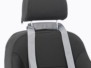car seat for dogs