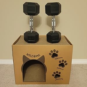 CHIC BY CHICO cardboard cat house with dumbbells on top