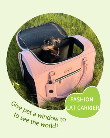 fashion cat carrier