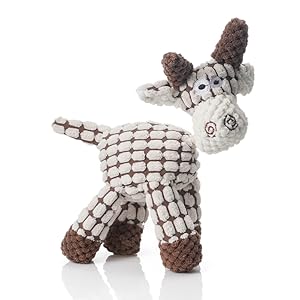 Dog toy for small dog