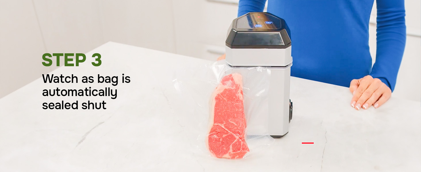vacuum sealer food saver machine foodsaver for seal a meal nesco sealers vaccine vaccum sealing 