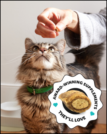 cat vitamins