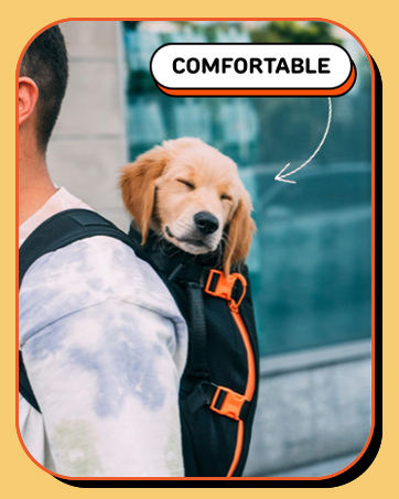 dog backpack cat carrier pet accessory travel bag front facing breathable lightweight holder