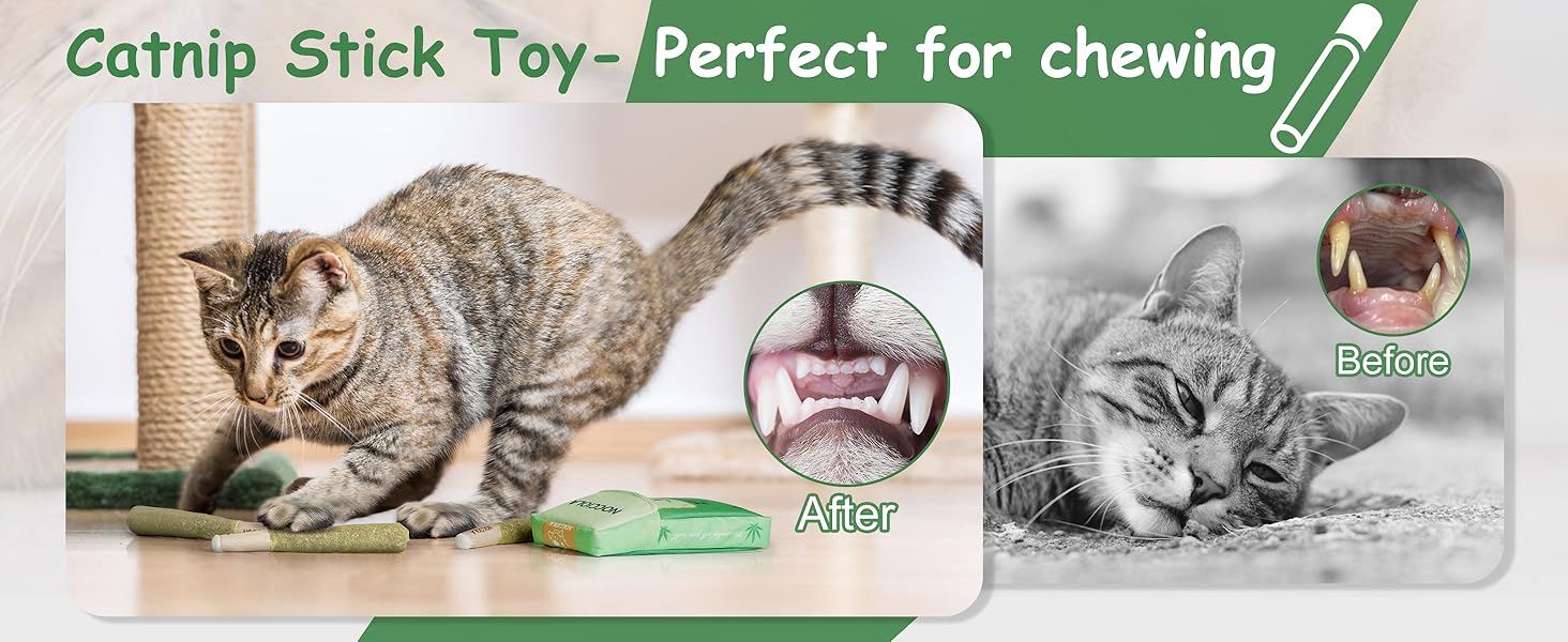 cat toys for indoor cats kitten toys for indoor kittens cat nip for catscat teething toys