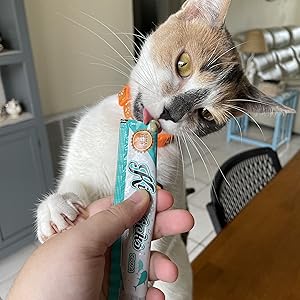 Hand Feed