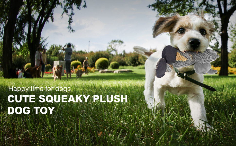 dog toys