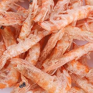shrimp