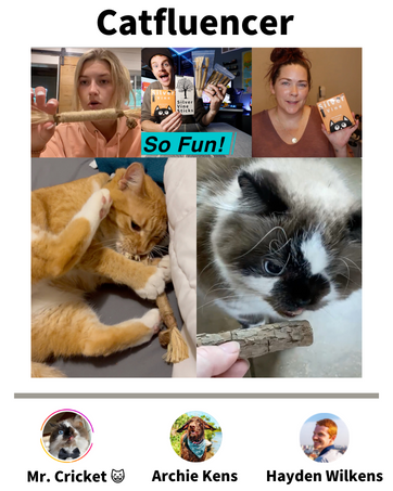 ywaooh cat toy