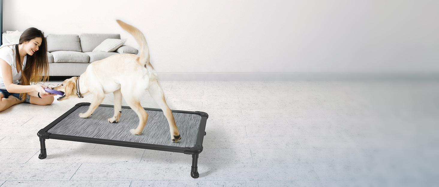 chew proof dog bed