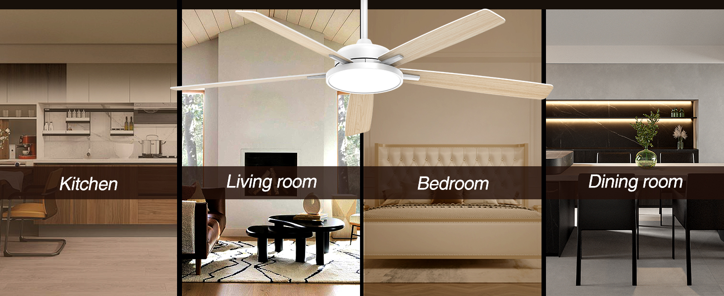 indoor ceiling fan
