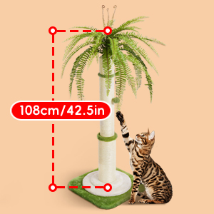 cat scratching post