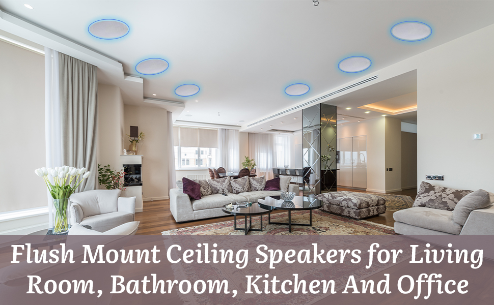 Flush Mount Ceilling Speakers