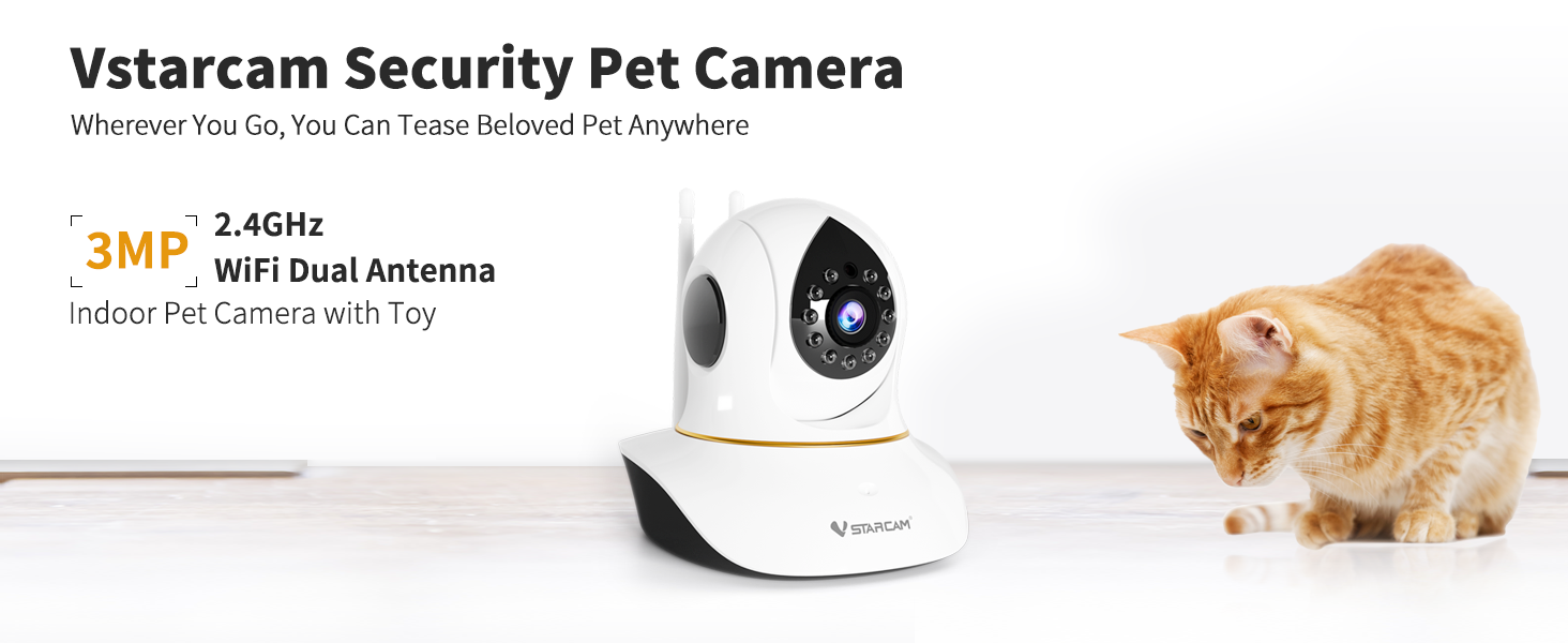 cat camera