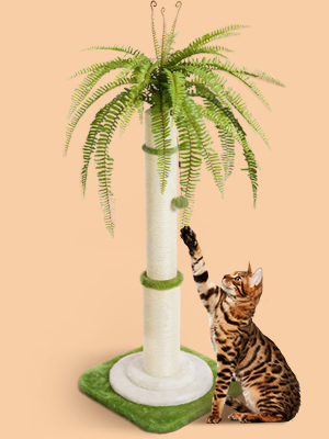 cat scratching post