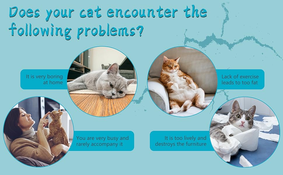 Does your pet boring？lack of exercise leads to too fat？and you rarely accompany it？