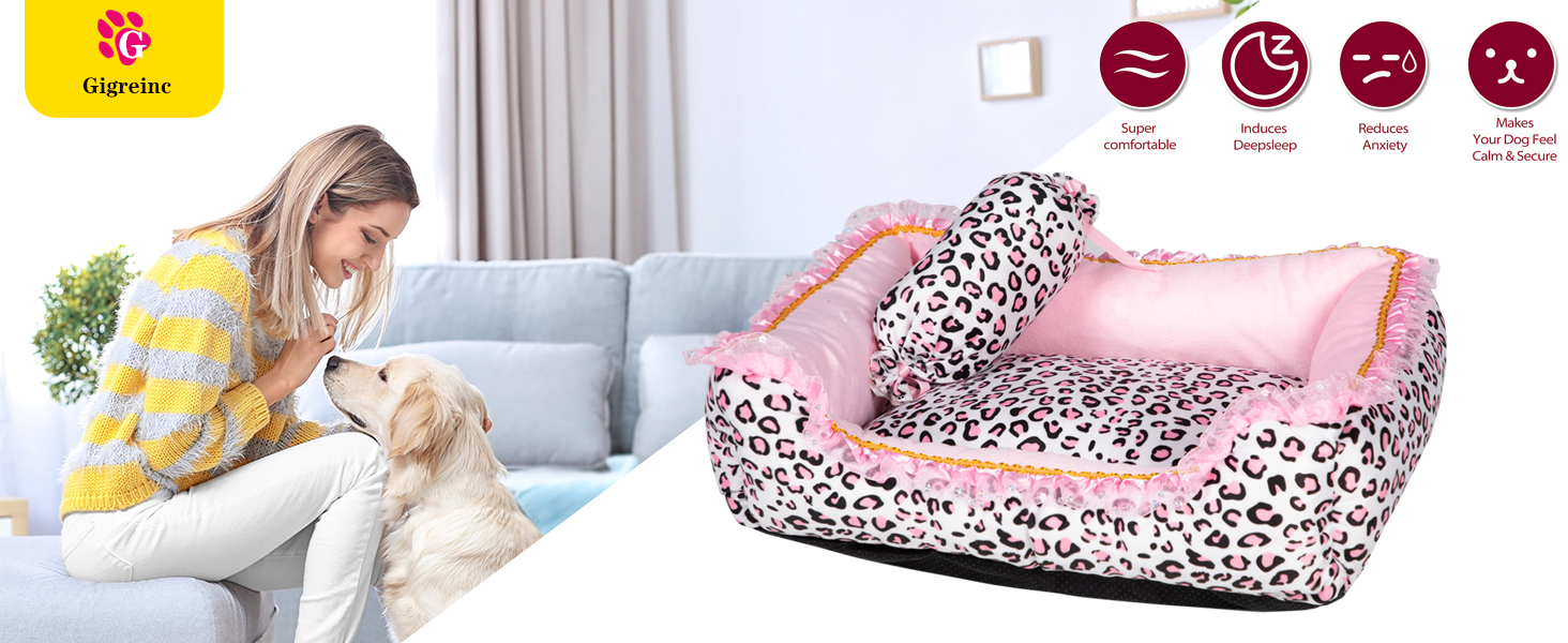 dog bed