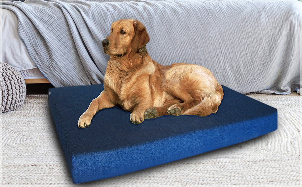 Orthopedic memory foam dog bed for XL extra large dog with Waterproof Case and Pet Bed Denim Cover