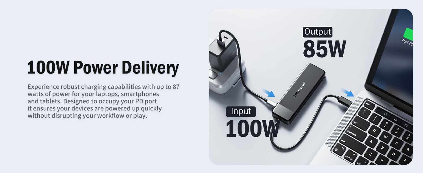 100W Power Delivery