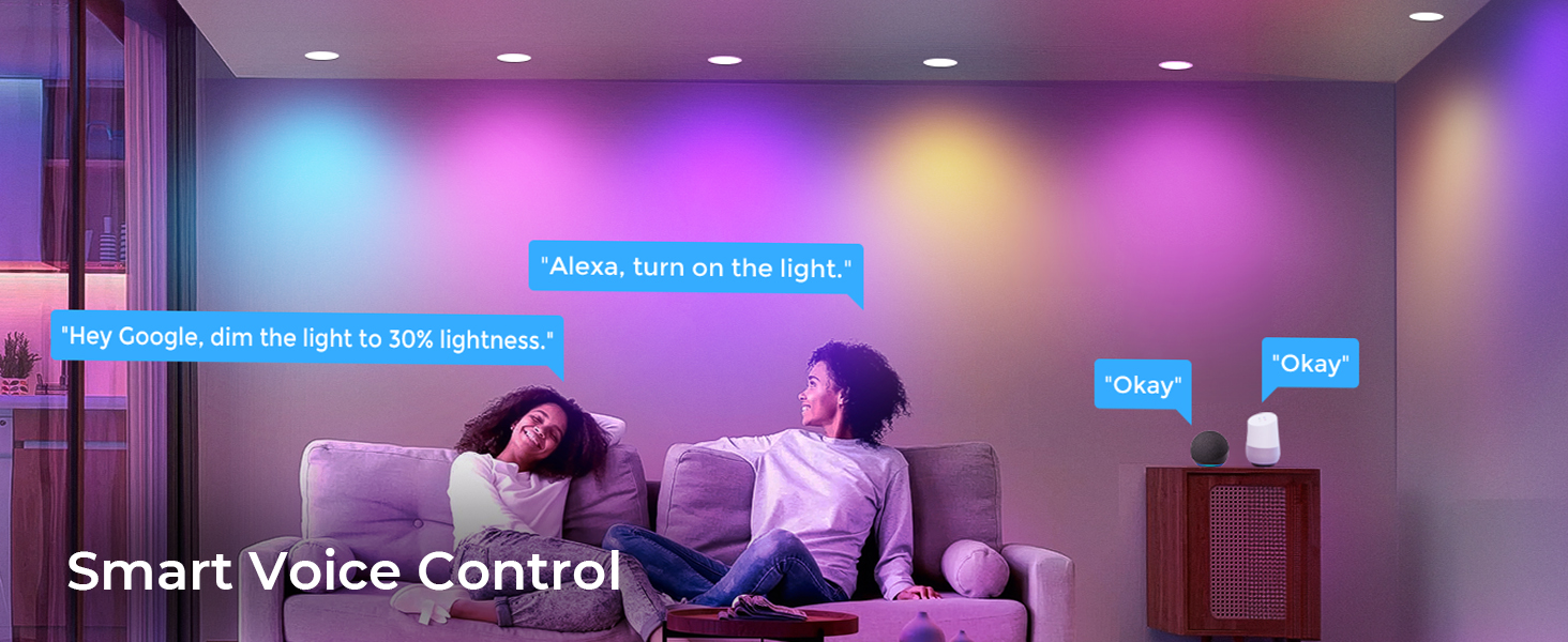 smart voice control