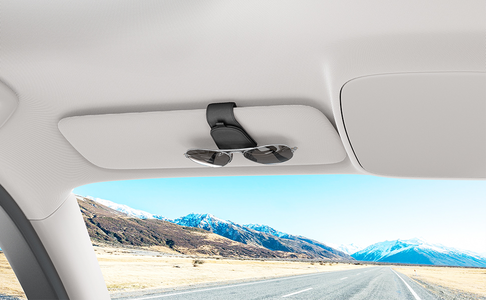 sunglass holder for car