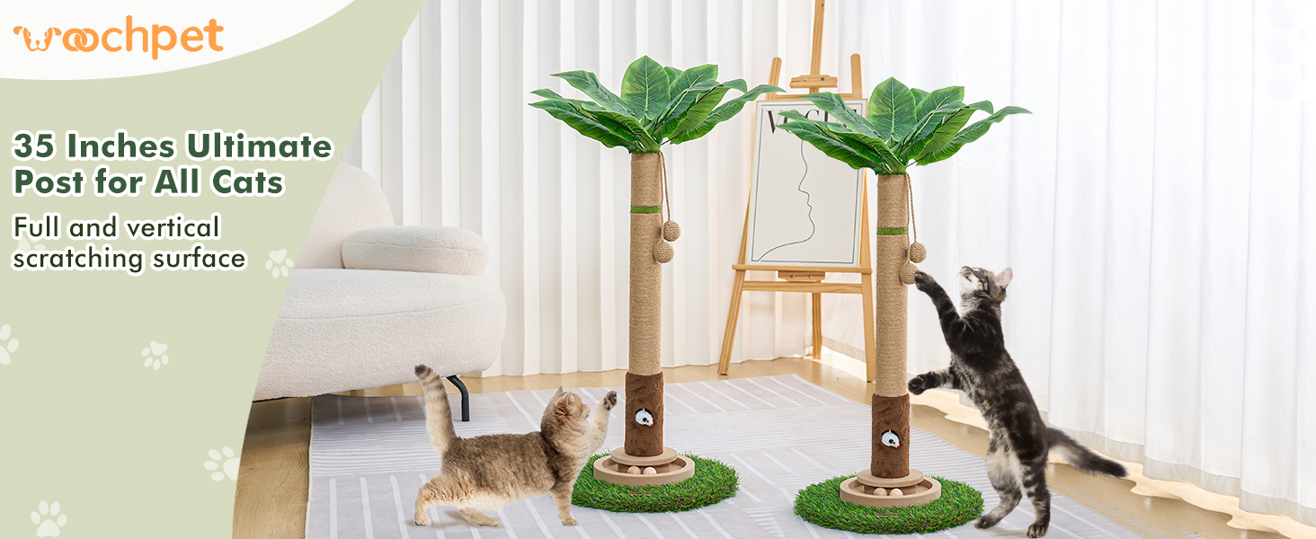 Scratching Posts for Indoor Cats 