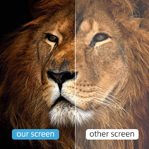 4k projector screen