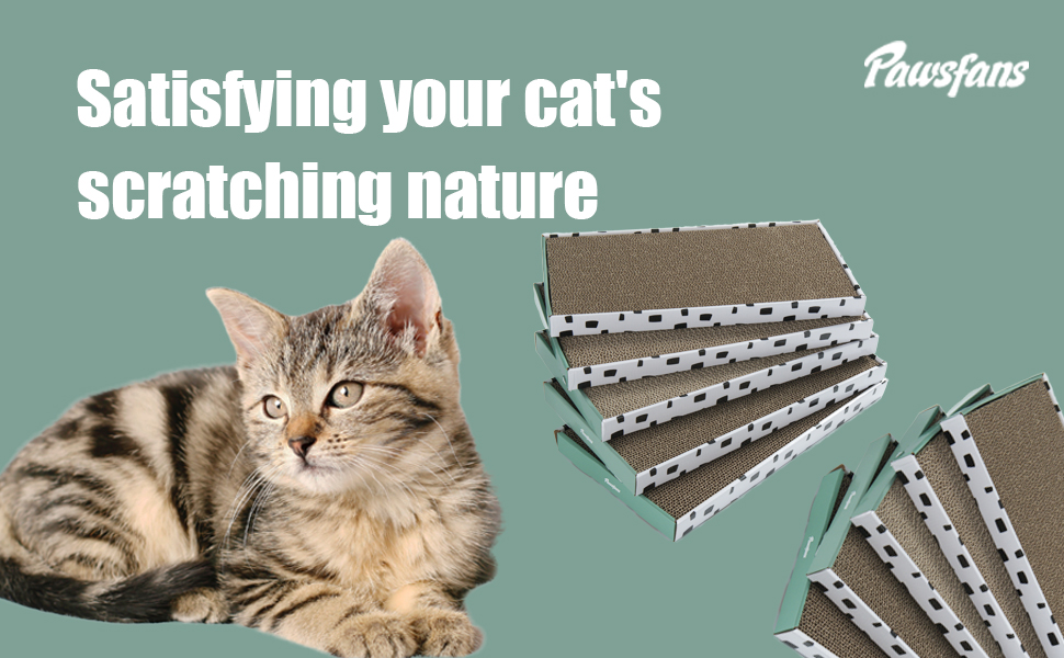 cat scratcher cardboard