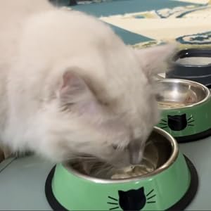 squeeze into bowl