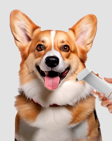 Dog Grooming Vacuum with Pet Clippers