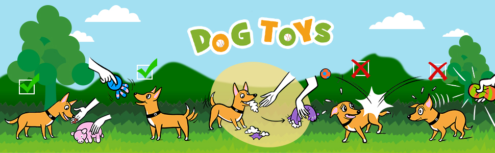 Chiwava Dogs Play