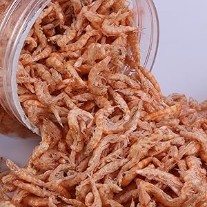shrimp