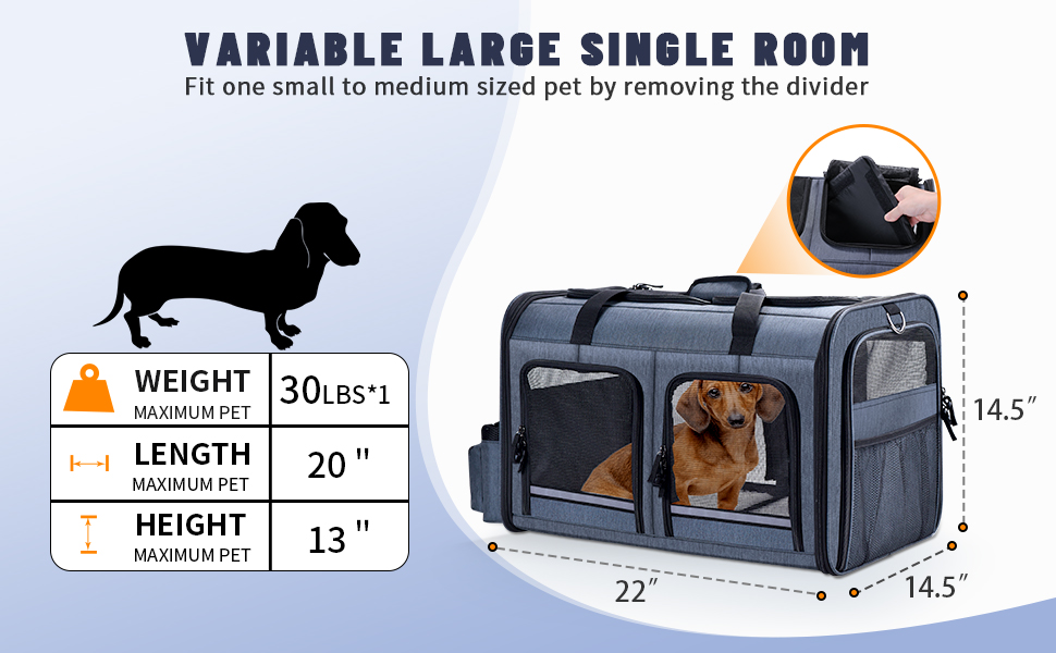 2 in 1 Dual Cat Carrier