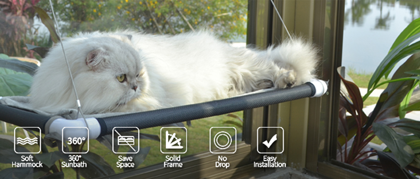 cat window perch