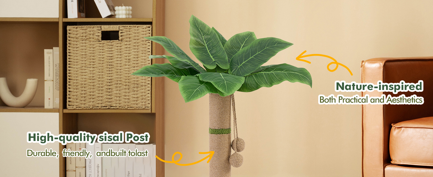 Scratching Posts for Indoor Cats 