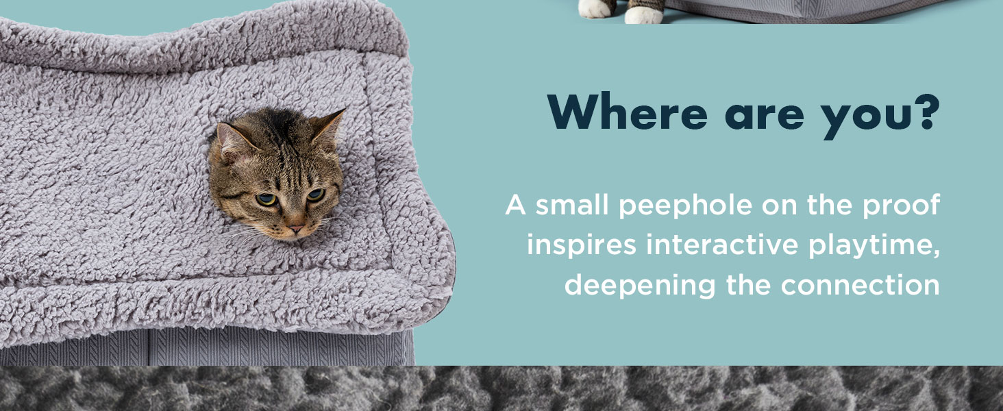 indoor cat house