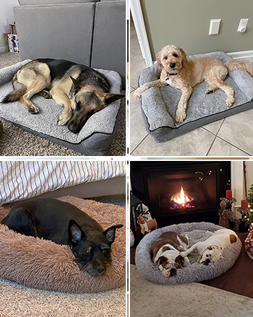 Dog bed, dog sofa bed,dog couch, dog bed for large dogs, large dog bed, dount dog bed, calming  bed