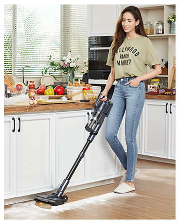 vacuum home pet hair