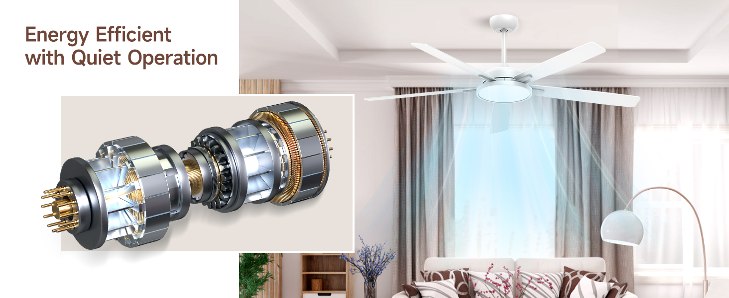 Kitchen ceiling fan