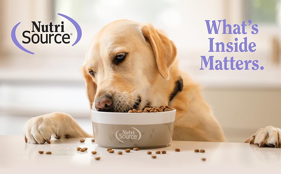 dog eating nutrisource kibble